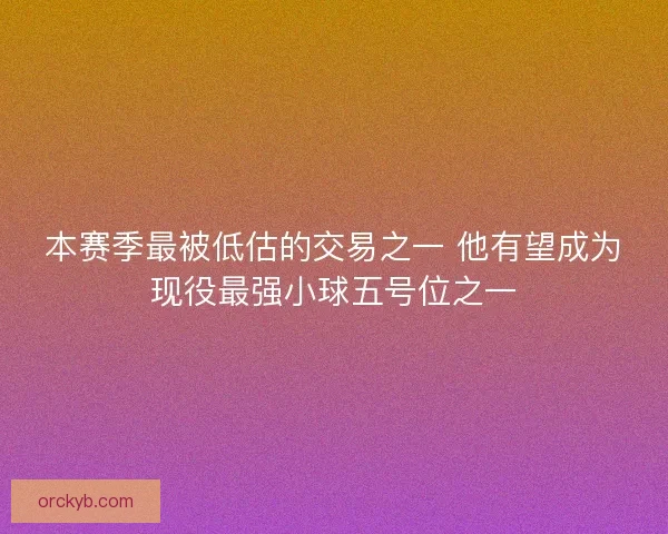 本赛季最被低估的交易之一 他有望成为现役最强小球五号位之一